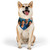 Healing Hearts United - Pet Bandana Collar