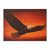 Sacred Eagle Flight - Yard Sign