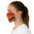 Sacred Eagle Flight - Fabric Face Mask
