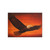 Sacred Eagle Flight - Holiday Cards (One-sided print)