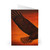 Sacred Eagle Flight - Greeting Cards (5 Pack)