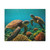 Dancing Sea Turtles - Matte Canvas, Stretched, 1.25"