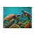 Dancing Sea Turtles - Matte Canvas, Stretched, 1.25"