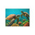 Dancing Sea Turtles - Post-it® Note Pads