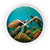 Dancing Sea Turtles - Wall Clock