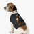 Curiosity in Motion - Pet Tank Top