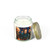 Curiosity in Motion - Scented Candles, Coconut Apricot Wax (4oz, 9oz)