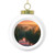 Silent Wilderness - Christmas Ball Ornament