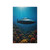 Deep Sea Adventure - Wall Decals