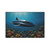Deep Sea Adventure - Heavy Duty Floor Mat