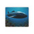 Deep Sea Adventure - Rectangular Mouse Pad