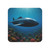 Deep Sea Adventure - Coasters (50, 100 pcs)