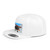 Skyward Soar - Flat Bill Snapback