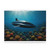 Deep Sea Adventure - Puzzle (120, 252, 500-Piece)