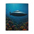 Deep Sea Adventure - Polyester Blanket