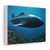 Deep Sea Adventure - Stretched Canvas