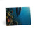Deep Sea Adventure - Greeting Cards (5 Pack)