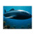 Deep Sea Adventure - Matte Horizontal Posters