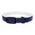Cosmic Frontier - Dog Collar