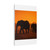 Gentle Giants in Twilight - Matte Canvas, Stretched, 1.25"