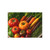 Gastronomic Garden - Post-it® Note Pads