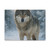 Lone Wolf Vigil - Matte Canvas, Stretched, 1.25"