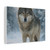 Lone Wolf Vigil - Matte Canvas, Stretched, 1.25"