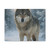 Lone Wolf Vigil - Matte Canvas, Stretched, 1.25"