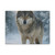 Lone Wolf Vigil - Matte Canvas, Stretched, 1.25"