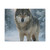 Lone Wolf Vigil - Matte Canvas, Stretched, 1.25"