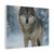 Lone Wolf Vigil - Matte Canvas, Stretched, 1.25"