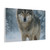 Lone Wolf Vigil - Matte Canvas, Stretched, 1.25"