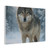 Lone Wolf Vigil - Matte Canvas, Stretched, 1.25"