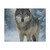 Lone Wolf Vigil - Matte Canvas, Stretched, 1.25"