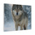 Lone Wolf Vigil - Matte Canvas, Stretched, 1.25"
