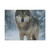 Lone Wolf Vigil - Matte Canvas, Stretched, 1.25"