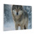 Lone Wolf Vigil - Matte Canvas, Stretched, 1.25"