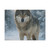 Lone Wolf Vigil - Matte Canvas, Stretched, 1.25"