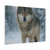 Lone Wolf Vigil - Matte Canvas, Stretched, 1.25"