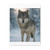 Lone Wolf Vigil - Matte Canvas, Stretched, 1.25"