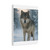 Lone Wolf Vigil - Matte Canvas, Stretched, 1.25"