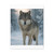 Lone Wolf Vigil - Matte Canvas, Stretched, 1.25"