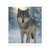 Lone Wolf Vigil - Matte Canvas, Stretched, 1.25"