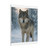 Lone Wolf Vigil - Matte Canvas, Stretched, 1.25"