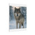 Lone Wolf Vigil - Matte Canvas, Stretched, 1.25"