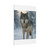 Lone Wolf Vigil - Matte Canvas, Stretched, 1.25"