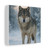 Lone Wolf Vigil - Matte Canvas, Stretched, 1.25"