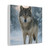 Lone Wolf Vigil - Matte Canvas, Stretched, 1.25"