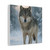 Lone Wolf Vigil - Matte Canvas, Stretched, 1.25"