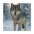 Lone Wolf Vigil - Matte Canvas, Stretched, 1.25"